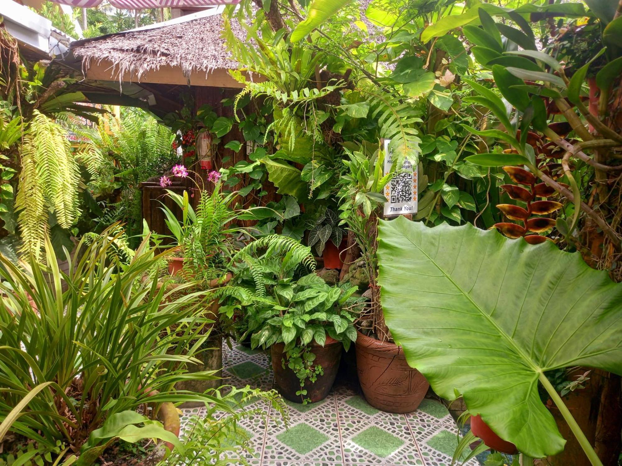 Hidden Tourist Mambajao