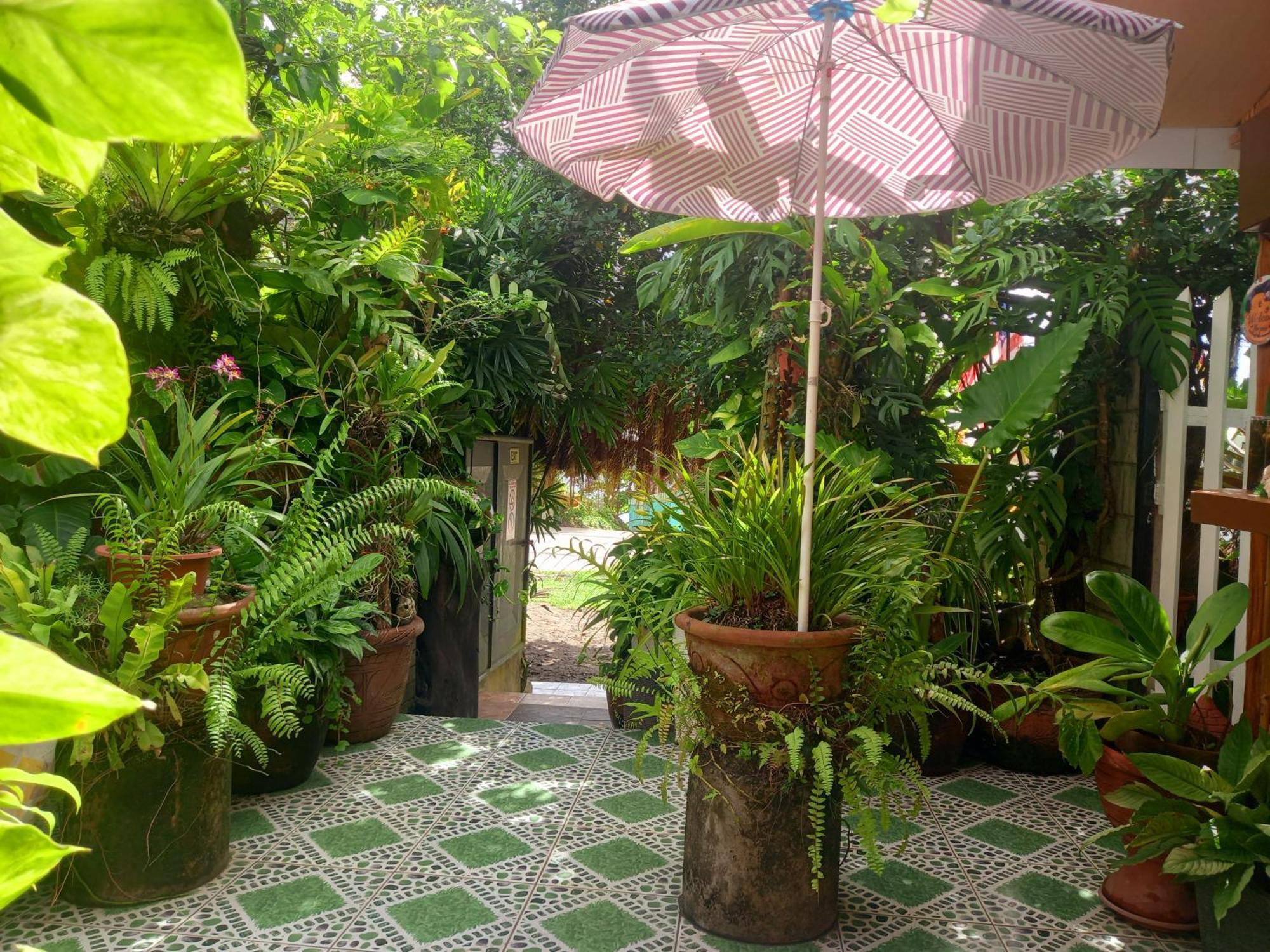 Hidden Tourist Homestay Mambajao