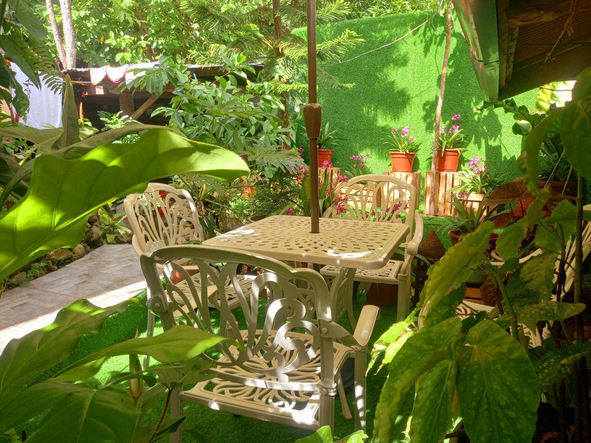 Hidden Tourist Homestay *